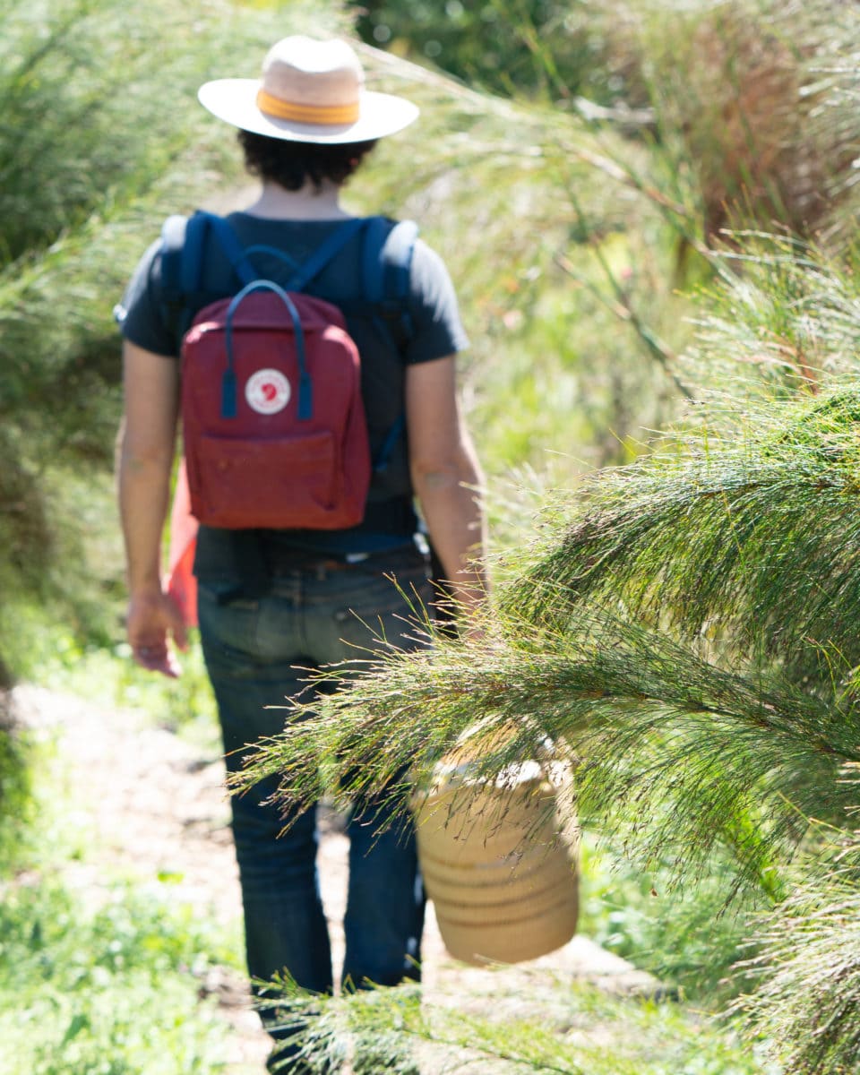 Mungo Spring Guide - looking for the perfect outdoors picnic spot