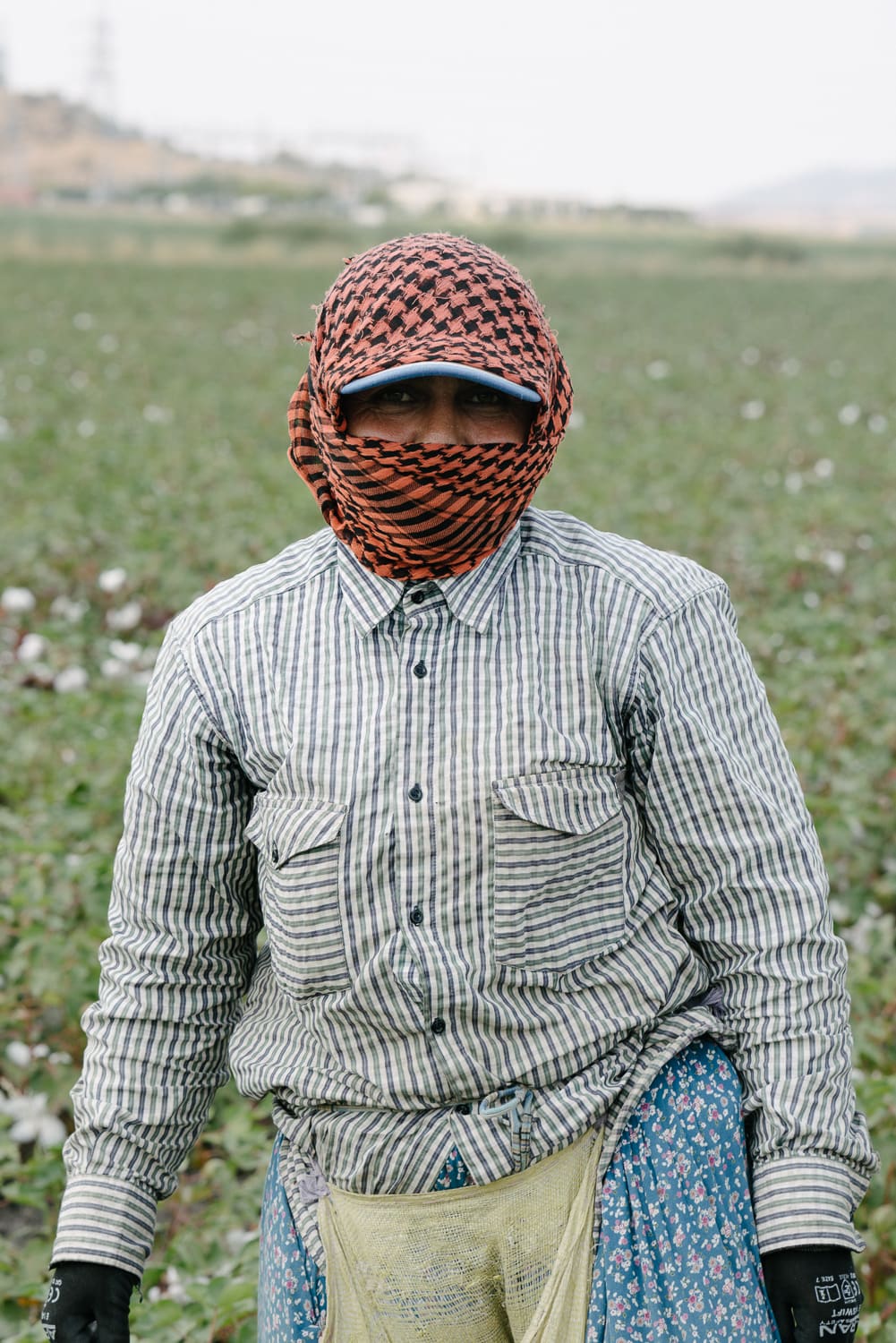 Organic cotton picker in a field in Turkey