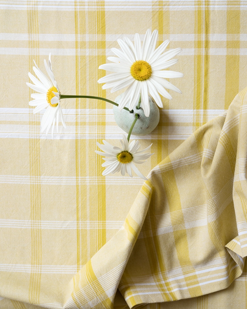 Mungo_Crags_Check_Mustard_Tablecloth-09719