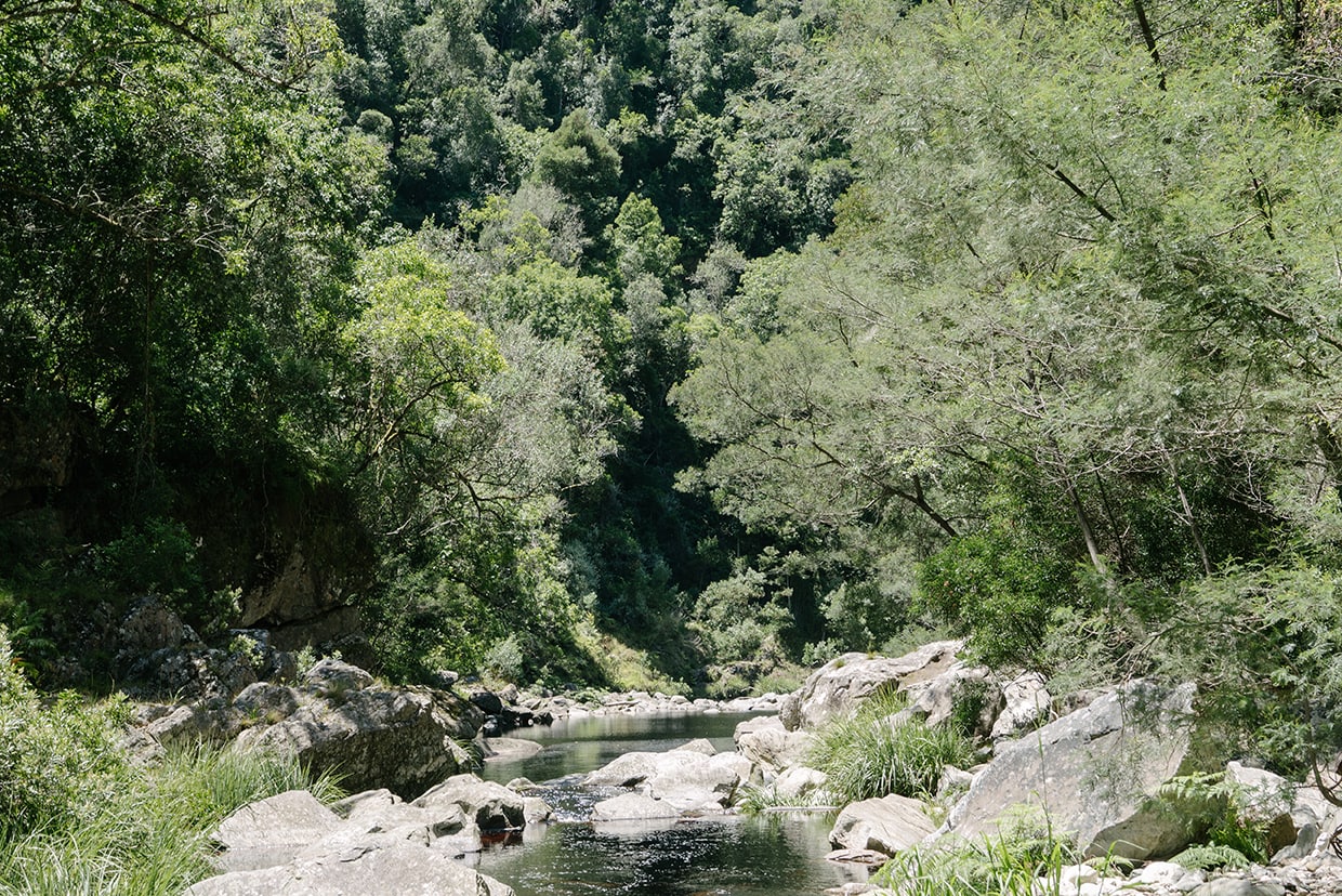 Hiking in the Garden Route with Mungo. Homeware textiles designed, woven, made in South Africa