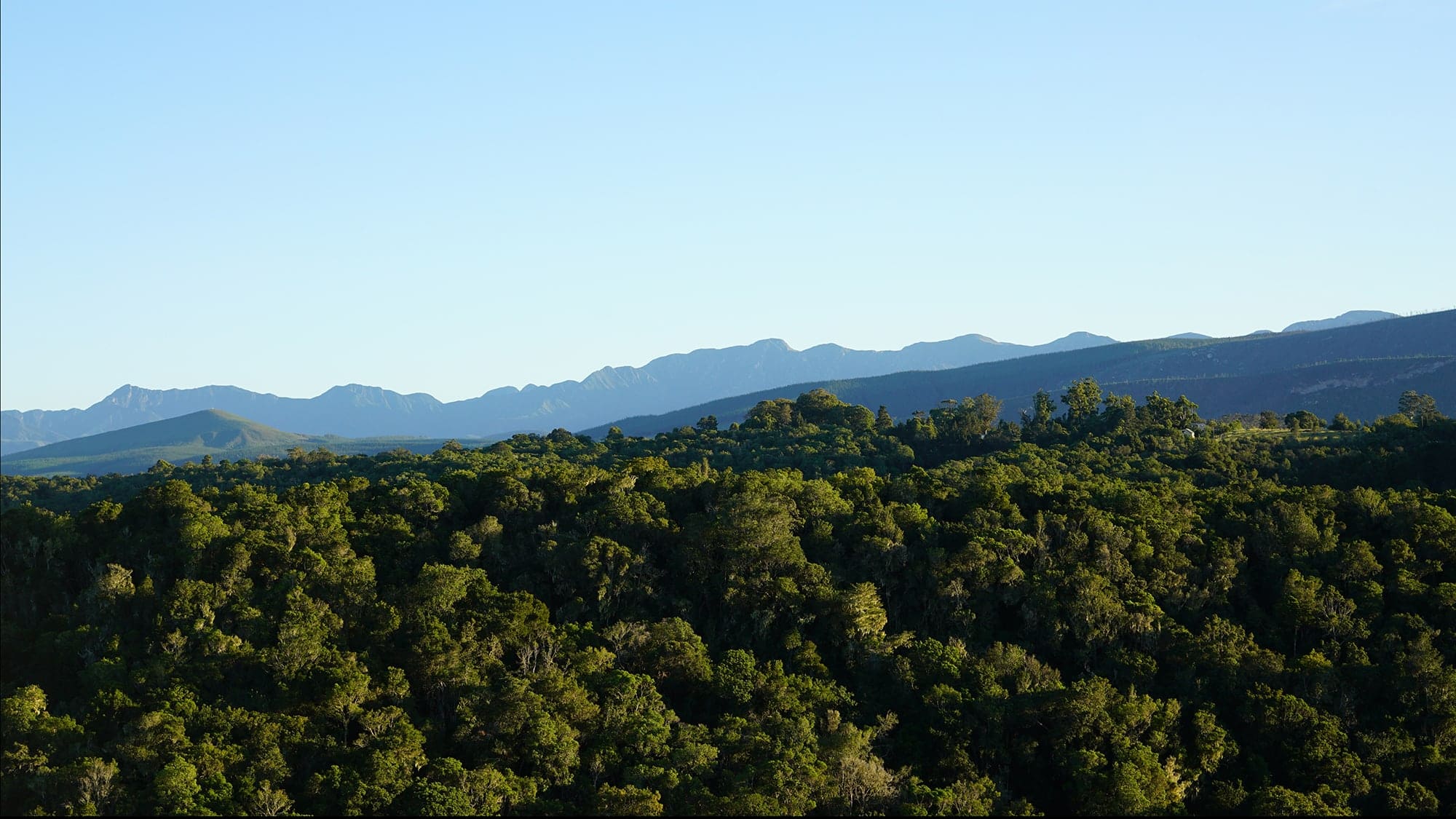 A landscape image of Plettenberg Bay, in the Garden Route of South Africa.
