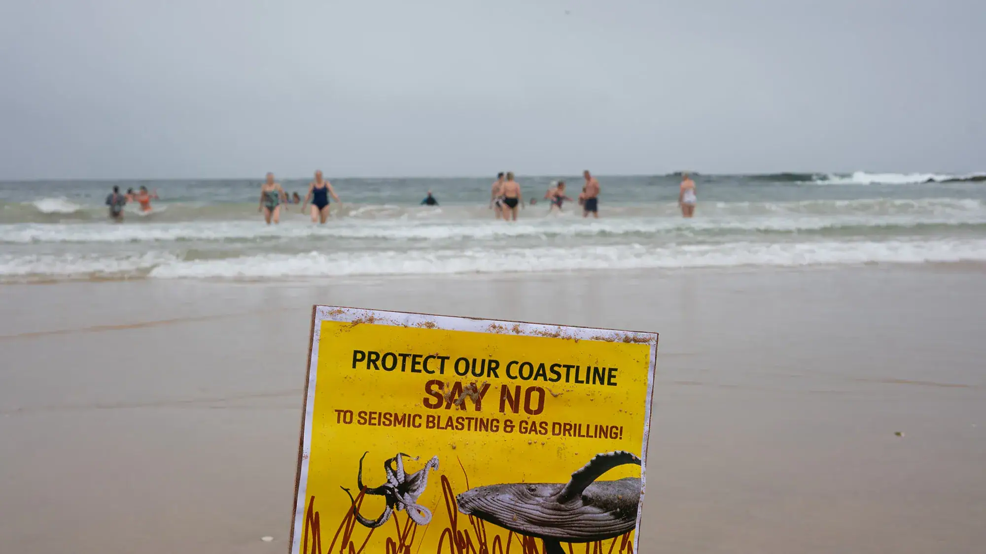 Mungo activation swim - against seismic blasting along the Garden Route coastline.