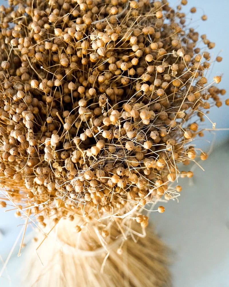 A bunch of flax