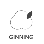 Mungo Icon Cotton Ginning
